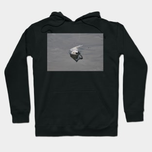 Iceberg! Hoodie